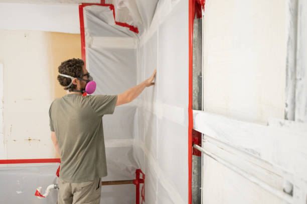 Reliable Elgin, OK Mold Removal Solutions